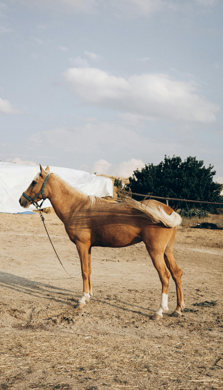 placeholder image sq